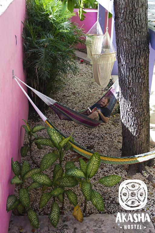 Akasha Hostel Mérida Kültér fotó