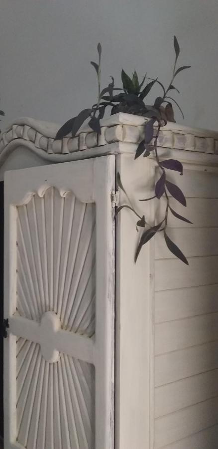 Akasha Hostel Mérida Kültér fotó