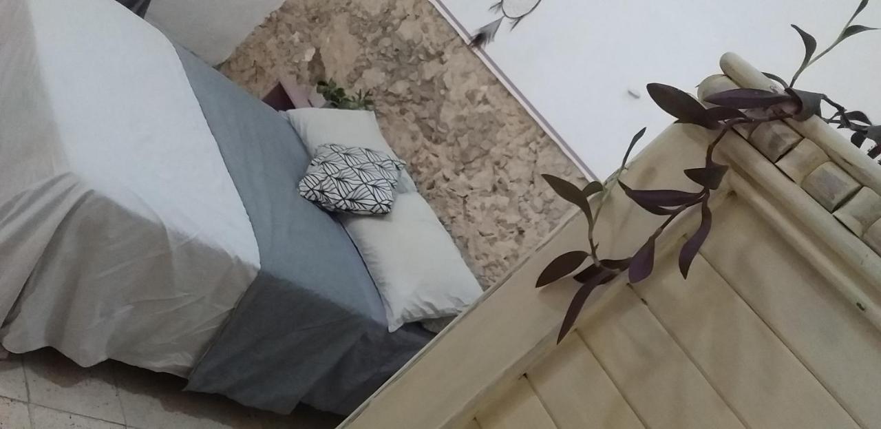 Akasha Hostel Mérida Kültér fotó